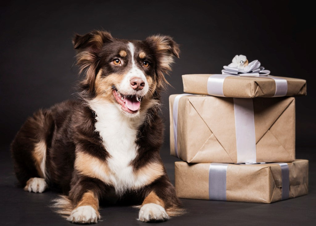 Dog Gifts for Dad