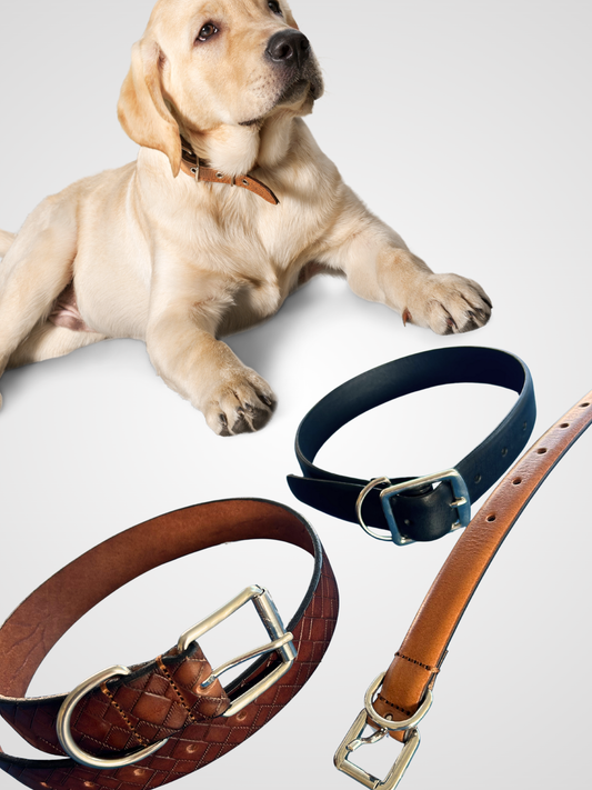 COMING SOON! Leather Dog Collars